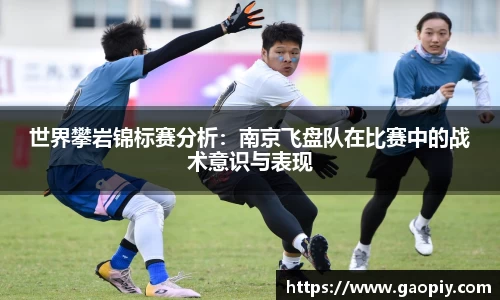 世界攀岩锦标赛分析：南京飞盘队在比赛中的战术意识与表现